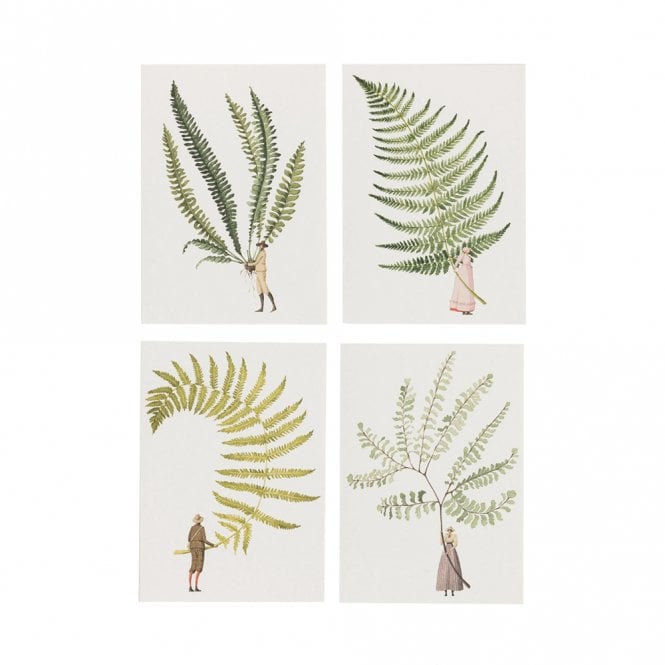Laura Stoddart Fabulous Ferns Assorted Pack of 8 Notecards