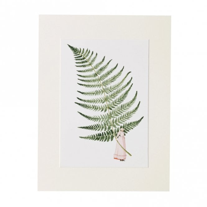 Laura Stoddart Fern A4 Mounted Print