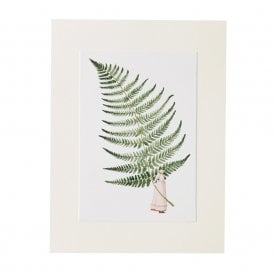 Fern A4 Mounted Print