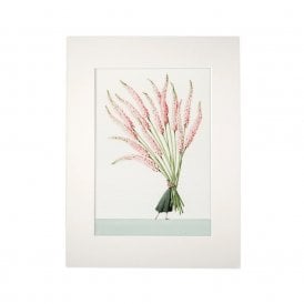 Foxtails Mounted A4 Print
