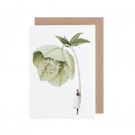 Hellebore Greetings Card
