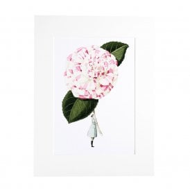 In Bloom Camellia Mounted A4 Print