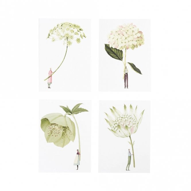 Laura Stoddart In Bloom Green Flowers Assorted Pack of 8 Notecards