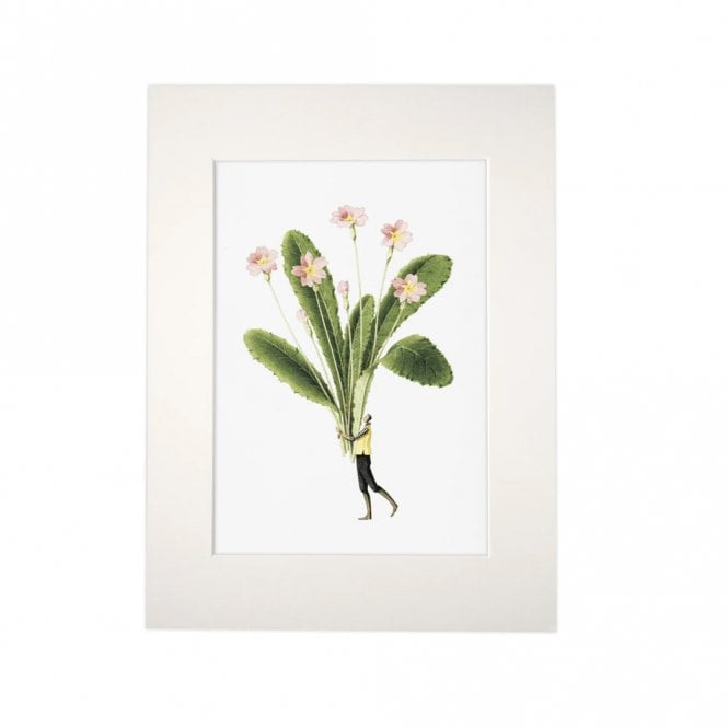 Laura Stoddart Primrose Mounted A4 Print