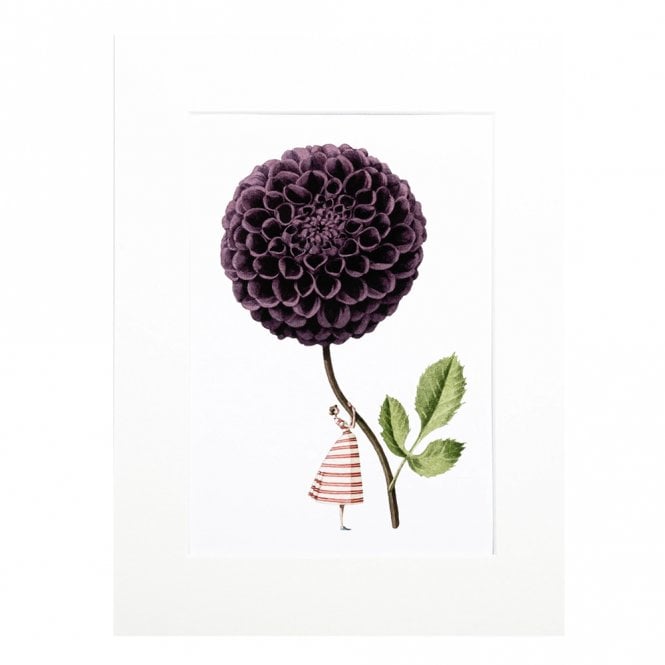 Laura Stoddart Purple Dahlia Mounted A4 Print