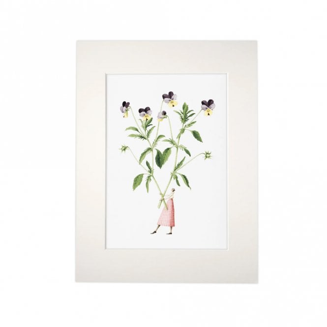Laura Stoddart Viola Mounted A4 Print