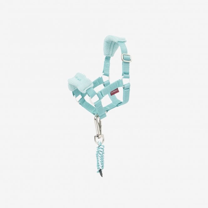 LeMieux Toy Pony Vogue Ice Blue Headcollar & Leadrope