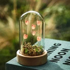 Flora Wonderland LED Lamp 14cm