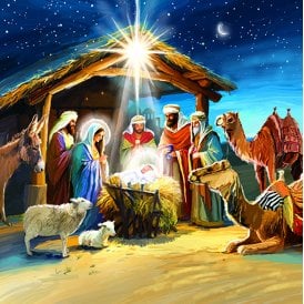 Around The Manger Box of 12 Christmas Cards