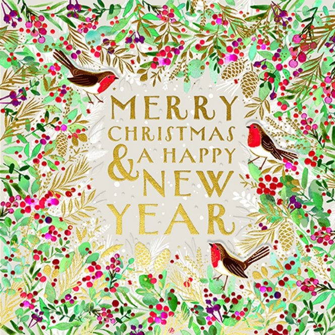 Ling Design Framed Robins Pack of 5 Luxe Christmas Cards