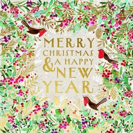 Framed Robins Pack of 5 Luxe Christmas Cards