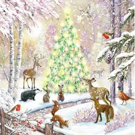 Magic Woodland Box of 12 Christmas Cards