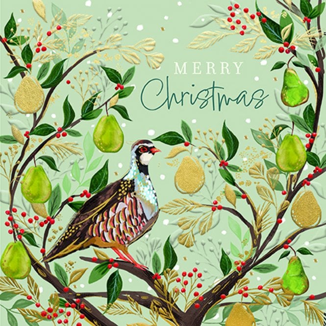 Ling Design Partridge In A Pear Tree Pack of 5 Luxe Christmas Cards