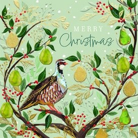 Partridge In A Pear Tree Pack of 5 Luxe Christmas Cards