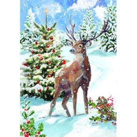Winter Wildlife Box of 24 Christmas Cards