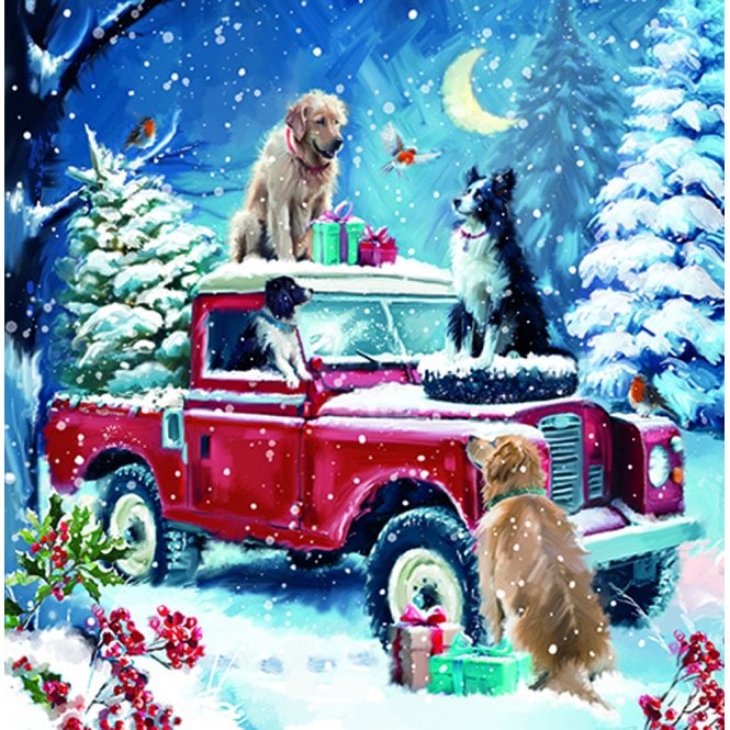 Ling Design Winter Wonderland Friends Box of 12 Christmas Cards