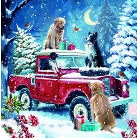 Winter Wonderland Friends Box of 12 Christmas Cards