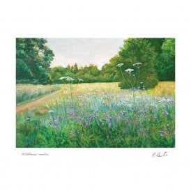 Colleen Conti Wildflower Meadow Card
