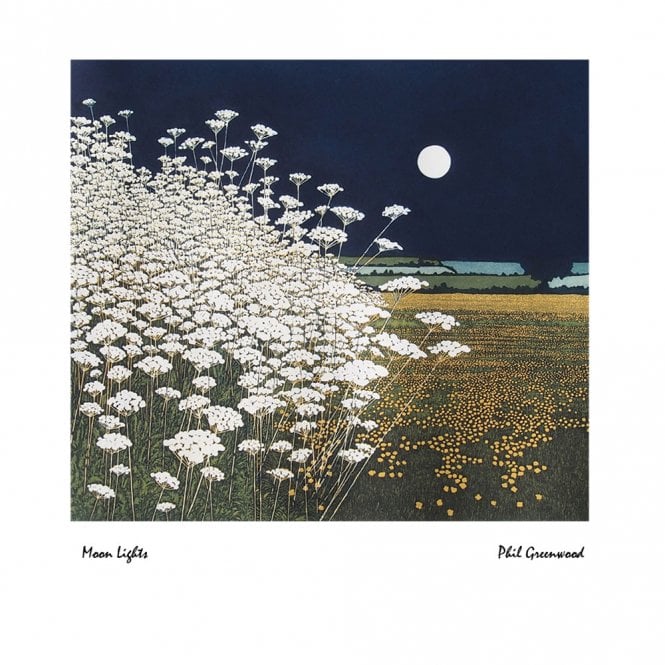 Mistletoe House Phil Greenwood Moon Lights Card