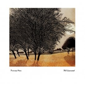 Phil Greenwood Primrose Morn Card