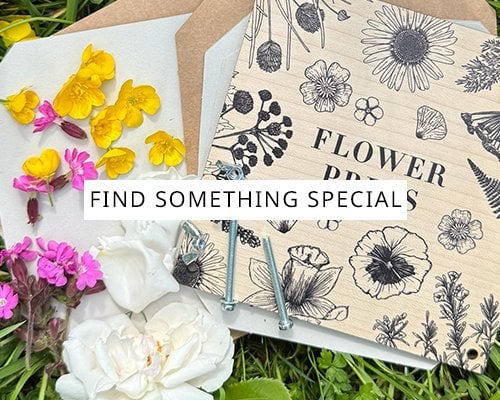 Find Something Special