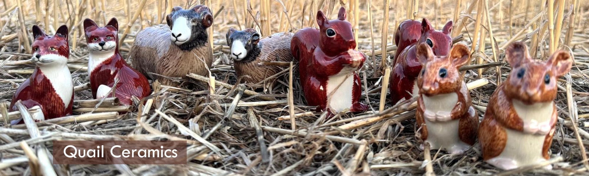 Quail