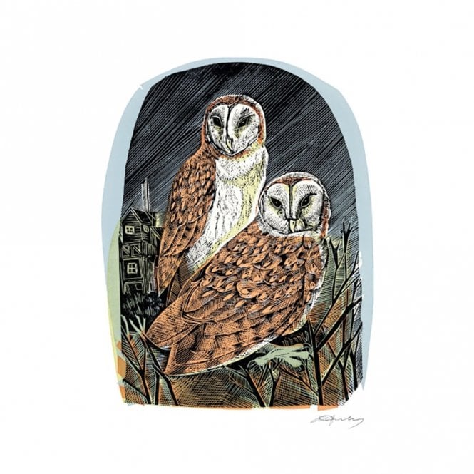 Museums & Galleries Angela Harding Barn Owls at Orford Card