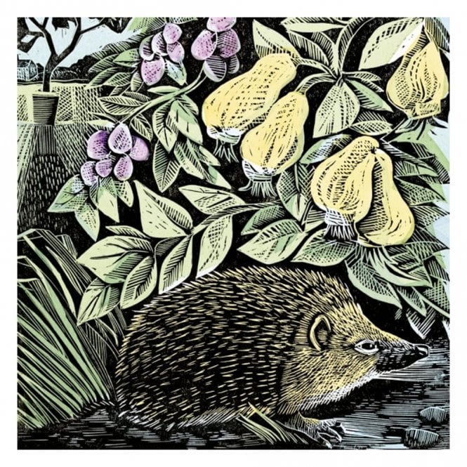 Museums & Galleries Angela Harding Hedgehog & Fruits Card