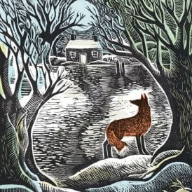 Angela Harding Night Fox Pack of 5 Christmas Cards