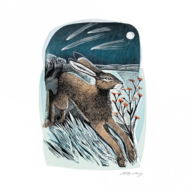 Museums & Galleries Angela Harding Shooting Stars Card
