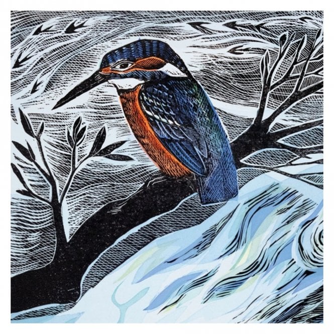 Museums & Galleries Angela Harding Summer Kingfisher Card