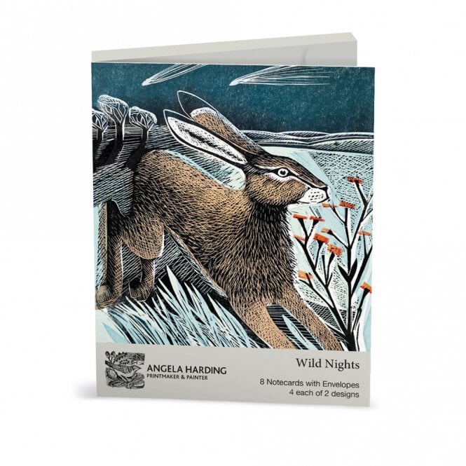 Museums & Galleries Angela Harding Wild Nights Notecard Wallet