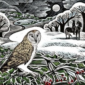 Angela Harding Winter Wood Pack of 5 Christmas Cards
