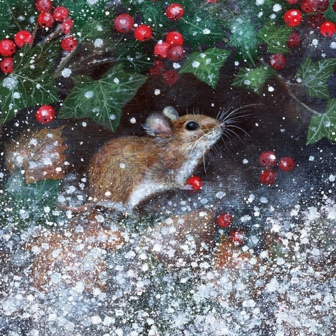 Museums & Galleries Animals and Winter Berries Pack of 20 Charity Christmas Cards