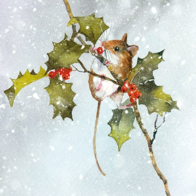 Museums & Galleries BHF Holly Feast Pack of 8 Charity Christmas Cards