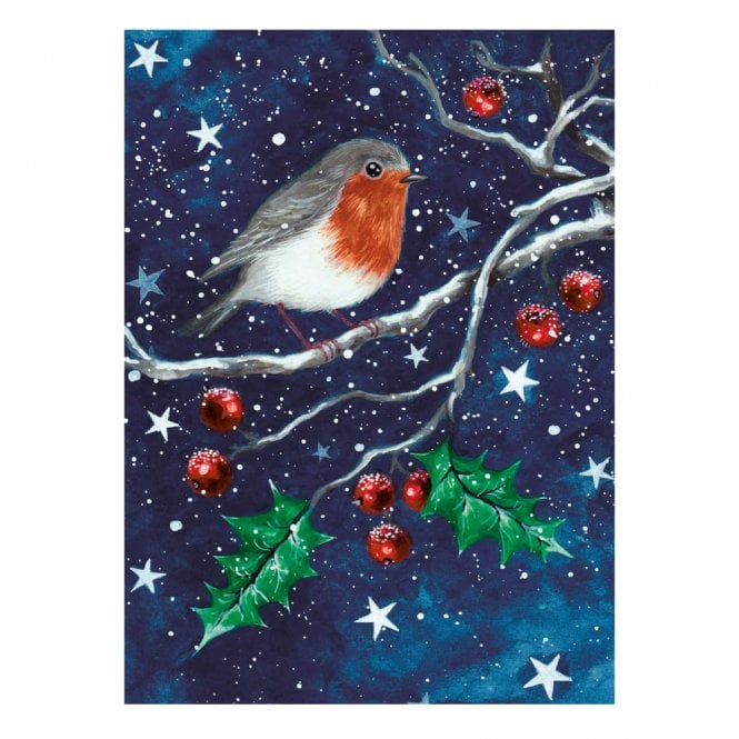 Museums & Galleries BHF Little Robin Pack of 8 Christmas Cards