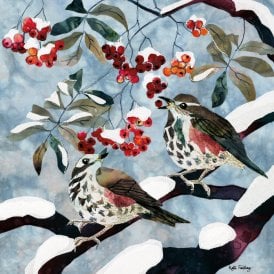 BHF Redwings and Rowan Pack of 5 Christmas Cards