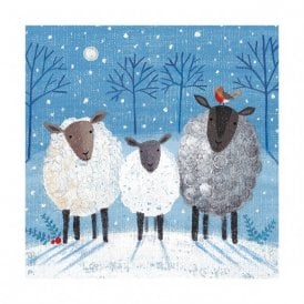 Christmas Bleatings Pack of 8 Charity Christmas Cards