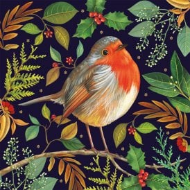 Christmas Robin Pack of 8 Charity Christmas Cards