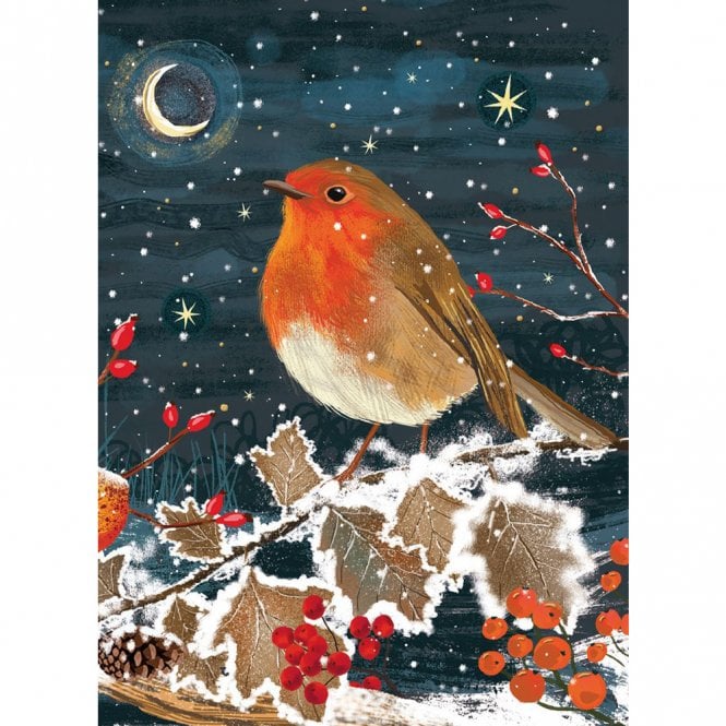 Museums & Galleries Macmillan A Winter's Night Robin Pack of 8 Christmas Cards