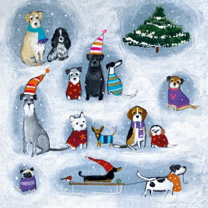 Museums & Galleries Macmillan Pooches in the Snow Pack of 8 Christmas Cards