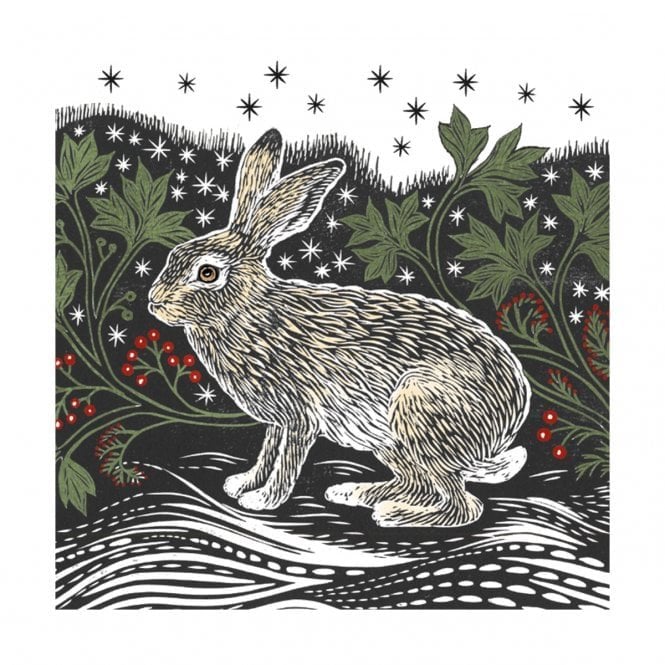 Museums & Galleries Macmillan Starlight Hare Pack of 8 Christmas Cards