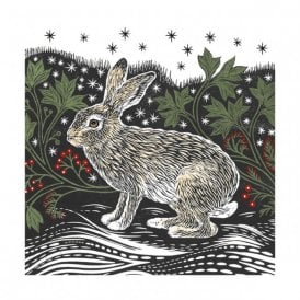 Macmillan Starlight Hare Pack of 8 Christmas Cards