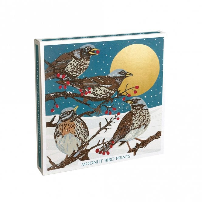 Museums & Galleries Moonlit Bird Prints Pack of 12 Christmas Cards