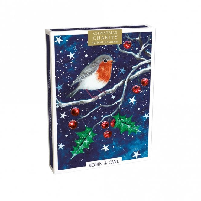 Museums & Galleries Robin & Owl Pack of 16 Charity Christmas Cards