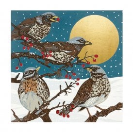 Winter Visitors Pack of 8 Christmas Cards