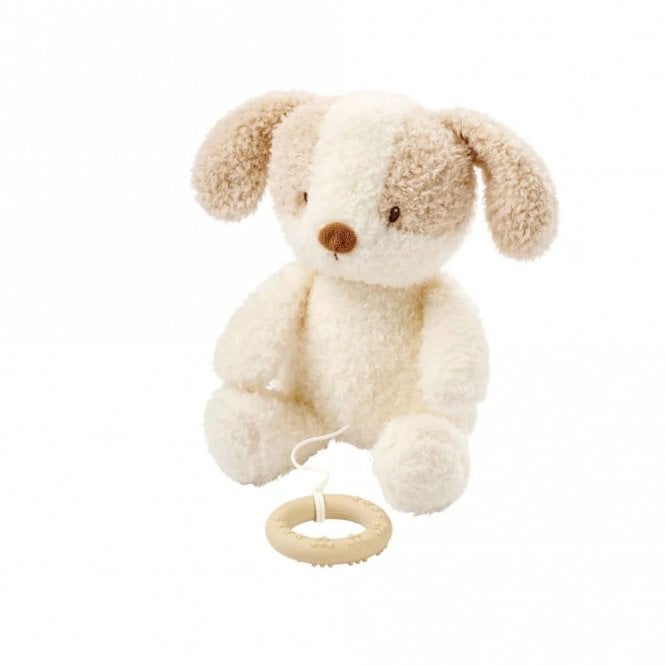 Nattou Teddy Baby Dog Musical Toy