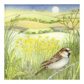 Kate Green Sparrow Card