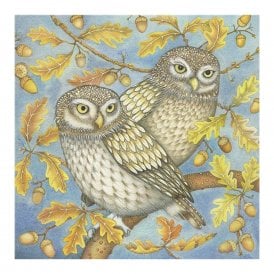 Kate Green Two Little Owls Card