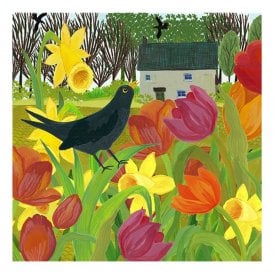 Kay Widdowson Morning Has Broken Card